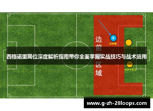 西格诺里踢位深度解析指南带你全面掌握实战技巧与战术运用 西格诺里踢位深度解析指南带你全面掌握实战技巧与战术运用