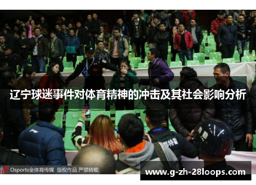 辽宁球迷事件对体育精神的冲击及其社会影响分析 辽宁球迷事件对体育精神的冲击及其社会影响分析